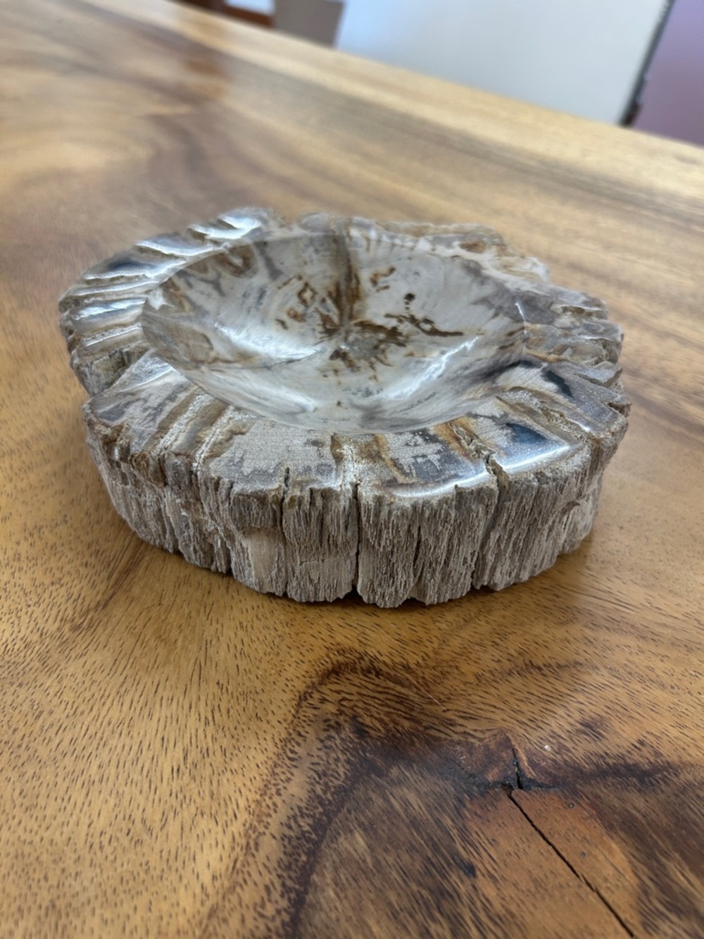 Petrified Wood Decorative Bowl - Picture 4 of 17